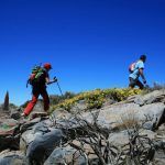 Camino de Santiago Tenerife Organizado