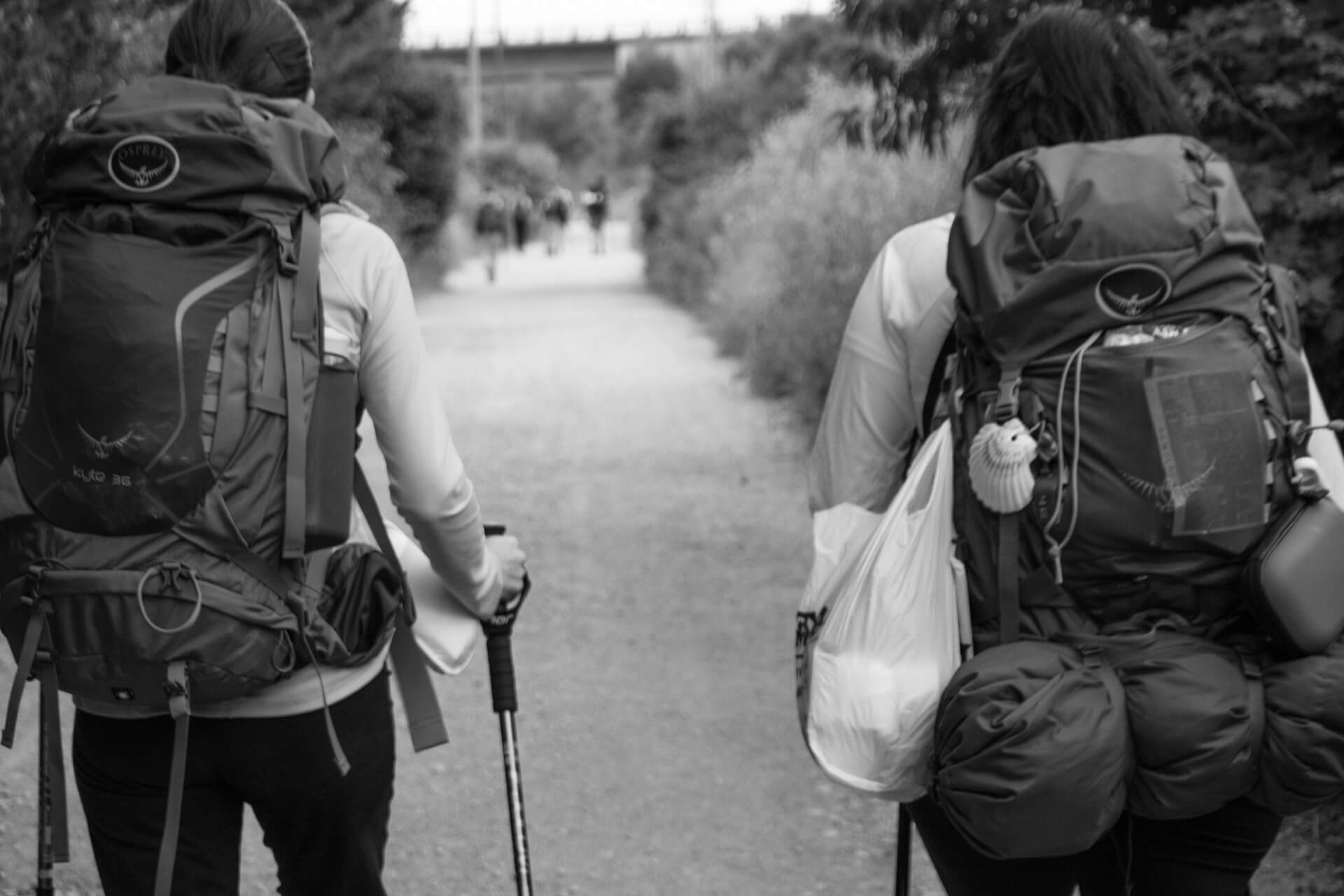 Camino de Santiago Canario